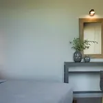 ヴィラ Narcissos